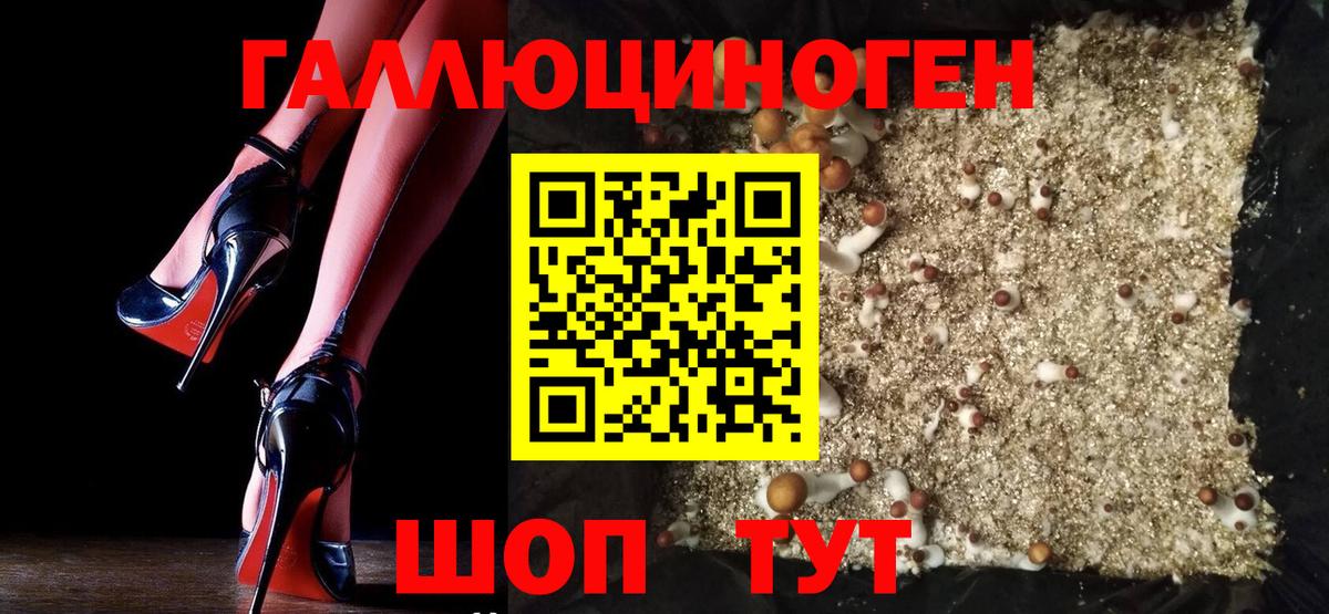 Избербаш  Псилоцибиновые грибы Magic Shrooms  Вход с VPN 